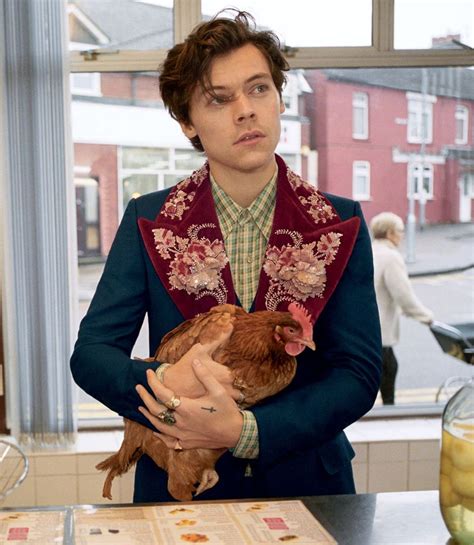 harry styles 2018 gucci campaign|harry styles gucci model.